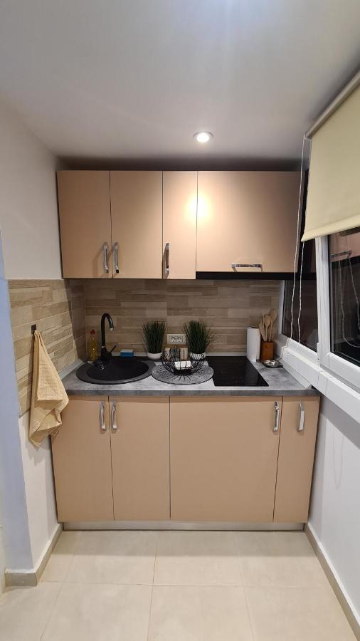 Studio Albert Râmnicu Vâlcea Exteriör bild